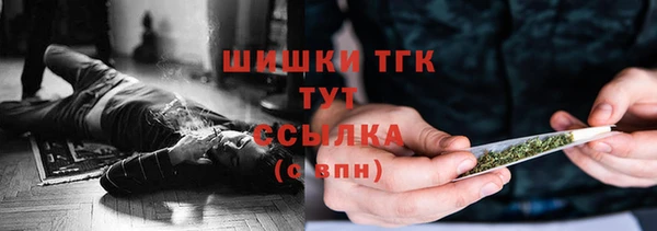 прущие грибы Арсеньев
