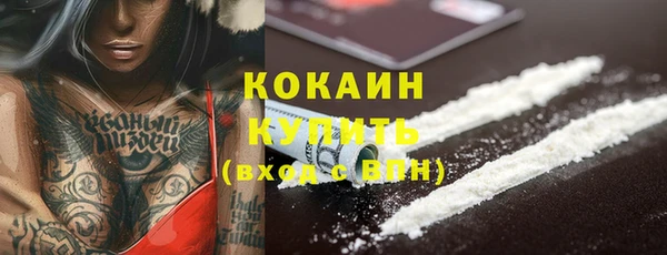 прущие грибы Арсеньев